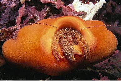 《DEEP STATE》Steam页面上线 复古元素风格FPS