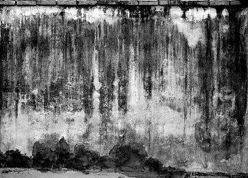 《Fate＆Samurai Remnant》新预告展示探索元素